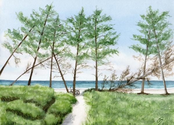 Postkarte DIN-A5 Strandweg  Aquarell Maritim Kunst Druck Kunstdruck Dänemark Nordsee Ostsee Dünen Meer Strand Sylt
